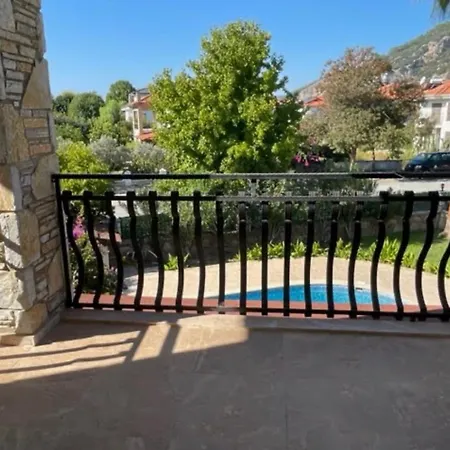 Caretta Luna فيلة *