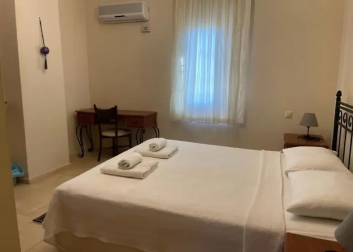 Caretta Luna فيلة