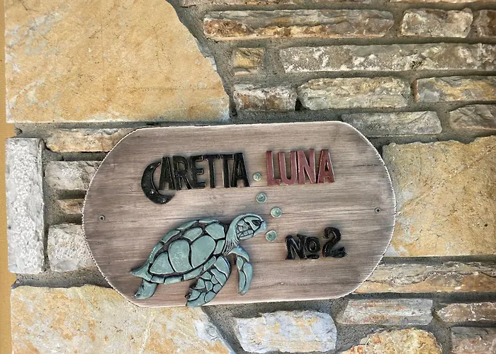 Caretta Luna